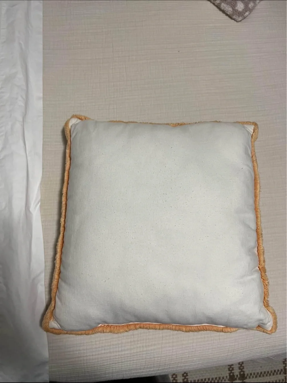 2 Decorative Throw Pillows